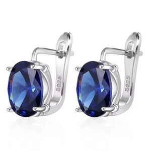 💙 Oval Blue Natural Zircon Stud Earrings